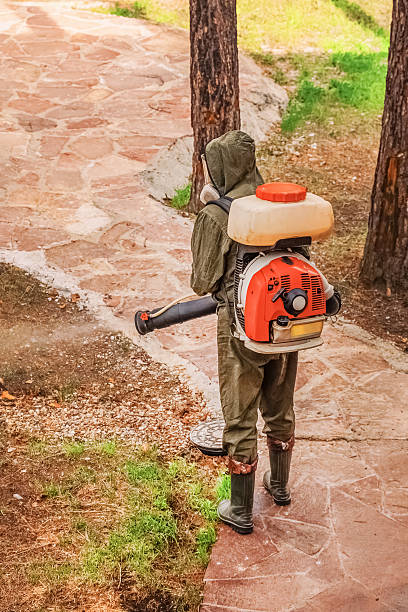 pest control10